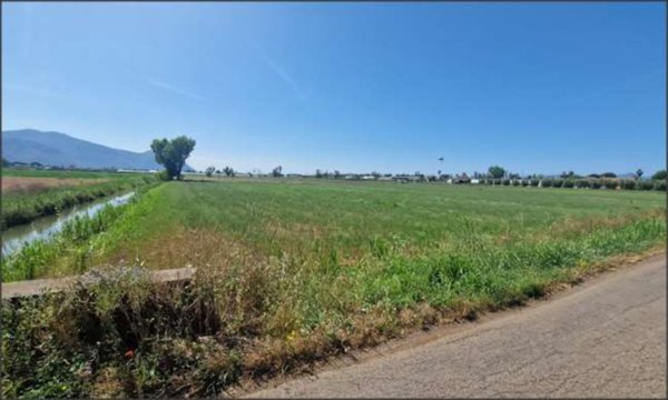 terreno agricolo in vendita a Pontinia