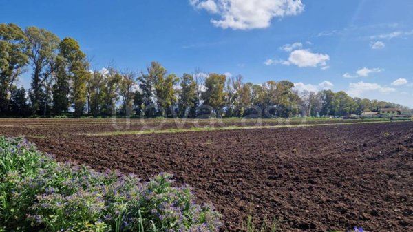 terreno agricolo in vendita a Pontinia
