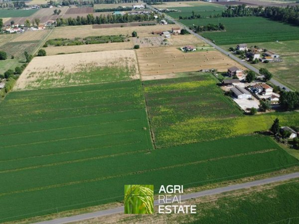 terreno agricolo in vendita a Pontinia