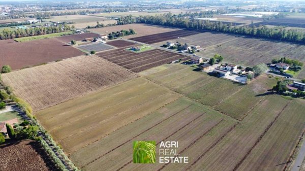 terreno agricolo in vendita a Pontinia
