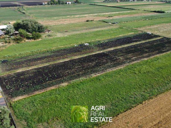 terreno agricolo in vendita a Pontinia