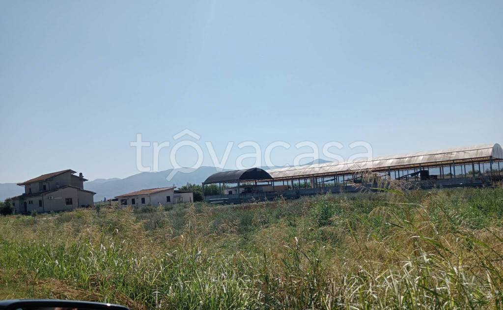 appartamento in vendita a Pontinia