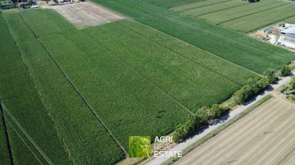 terreno agricolo in vendita a Pontinia