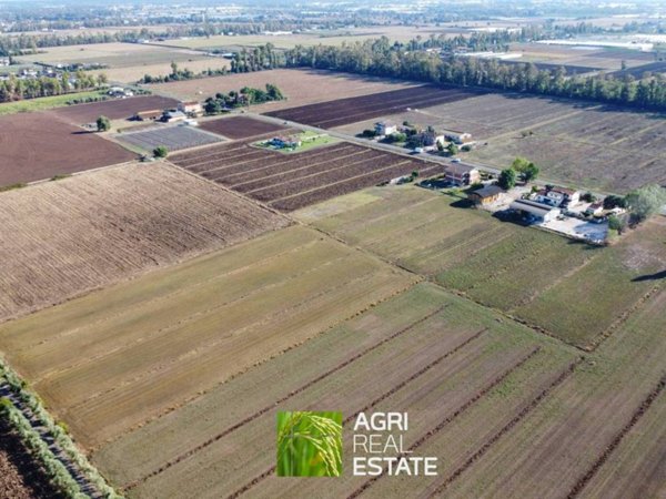 terreno agricolo in vendita a Pontinia