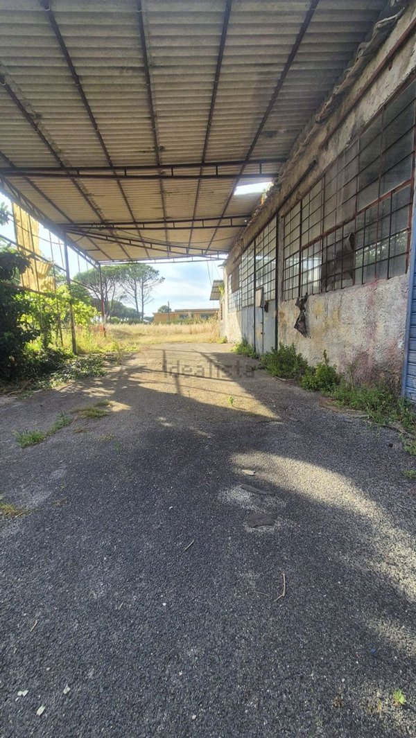 capannone in vendita a Pontinia