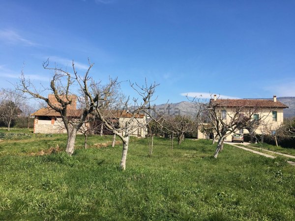 pentavano in vendita a Pontinia