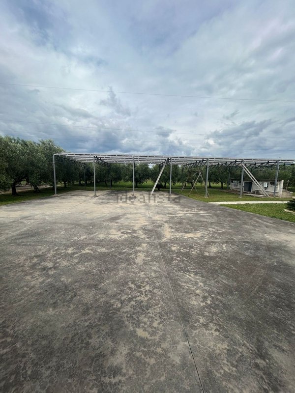 esavano in vendita a Pontinia