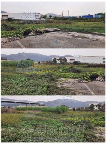 terreno agricolo in vendita a Pontinia in zona Mazzocchio