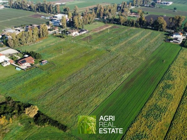 immagine annuncio 0 di 5