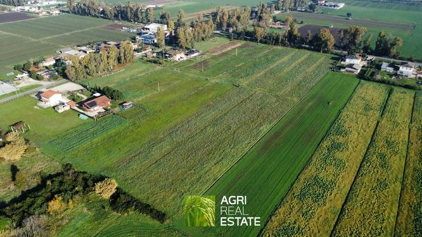 terreno agricolo in vendita a Pontinia