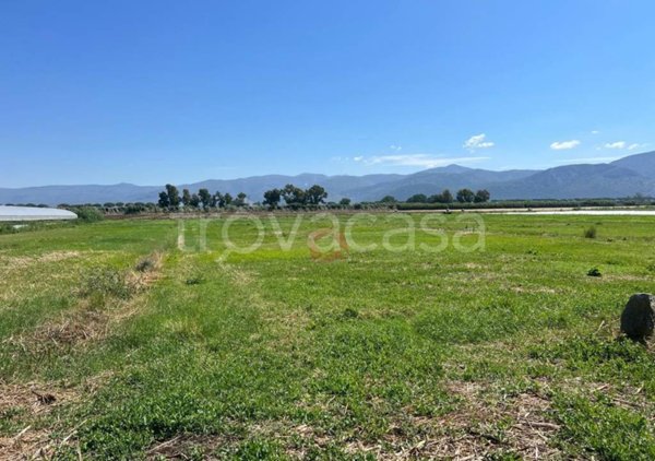 terreno agricolo in vendita a Pontinia