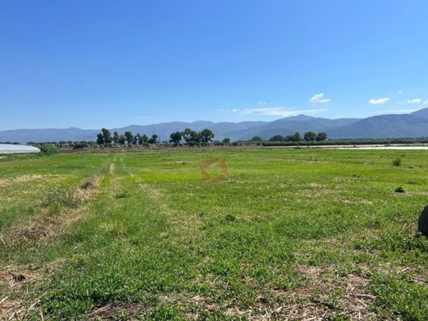 terreno agricolo in vendita a Pontinia