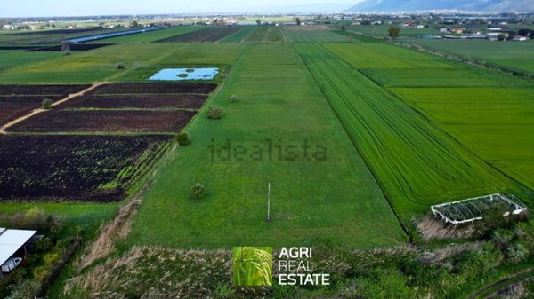terreno agricolo in vendita a Pontinia
