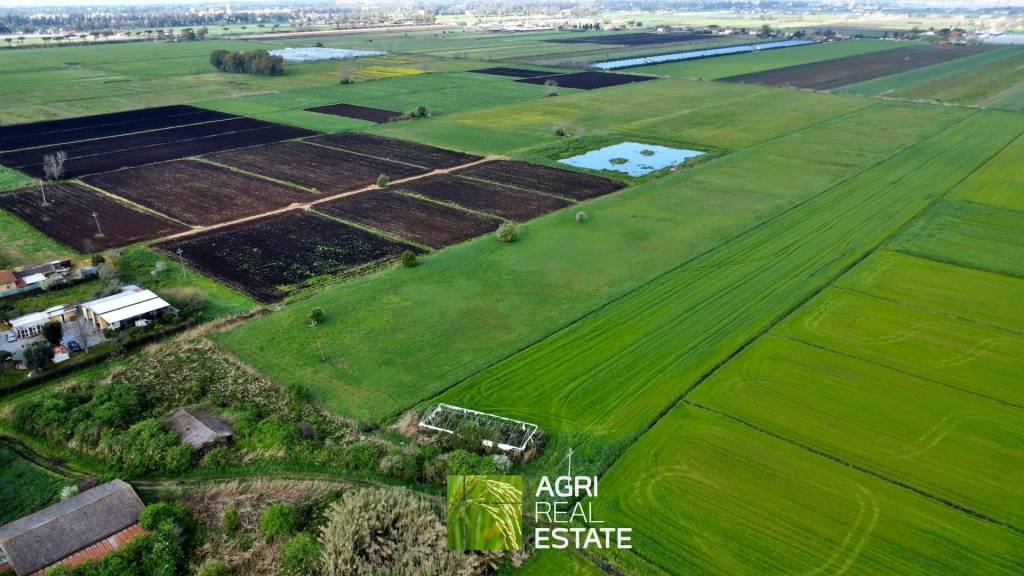 terreno agricolo in vendita a Pontinia
