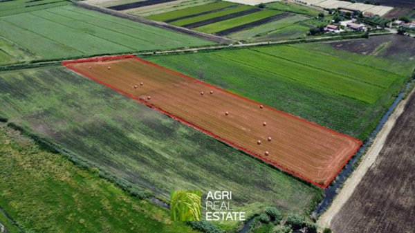 terreno agricolo in vendita a Pontinia