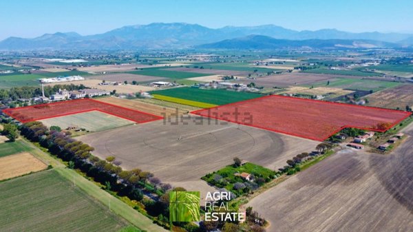 terreno agricolo in vendita a Pontinia