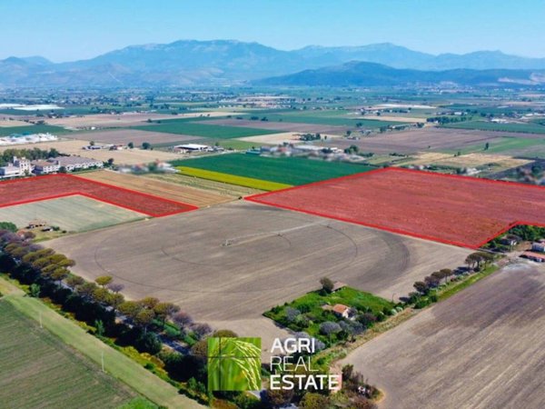 terreno agricolo in vendita a Pontinia
