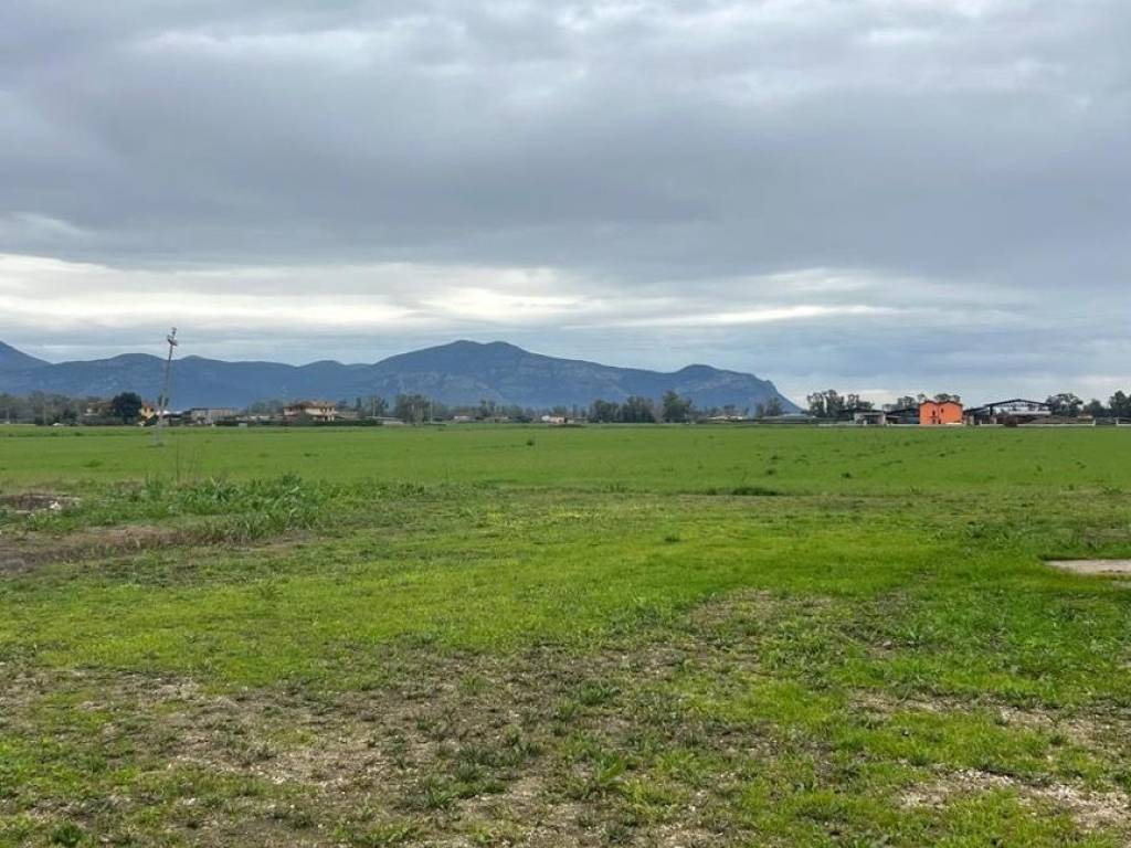 terreno agricolo in vendita a Pontinia