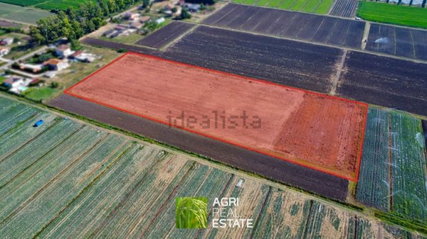 terreno agricolo in vendita a Pontinia