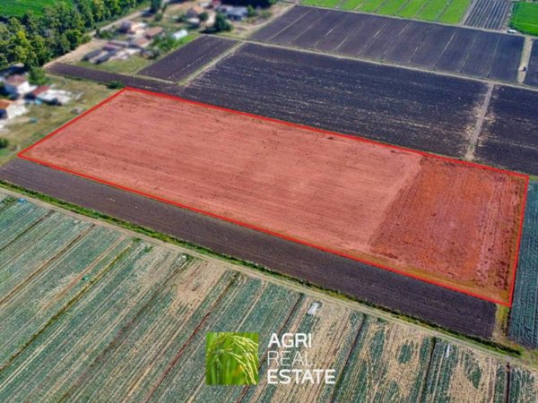 terreno agricolo in vendita a Pontinia