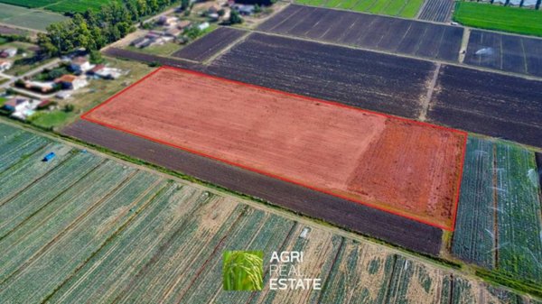 terreno agricolo in vendita a Pontinia