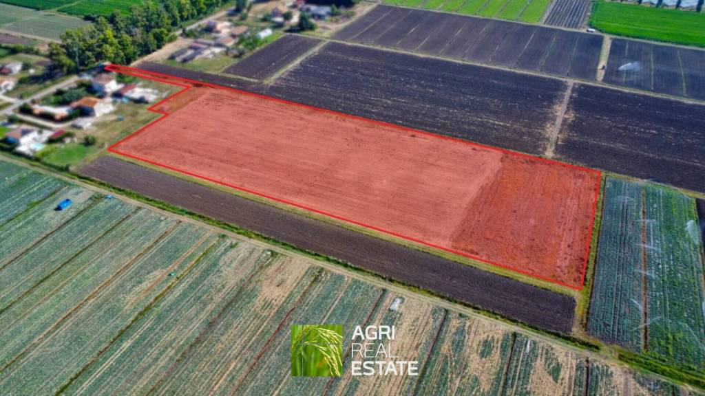 terreno agricolo in vendita a Pontinia