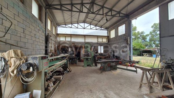 appartamento in vendita a Pontinia