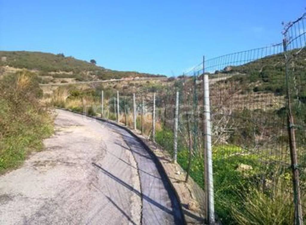 terreno agricolo in vendita a Ponza in zona Le Forna