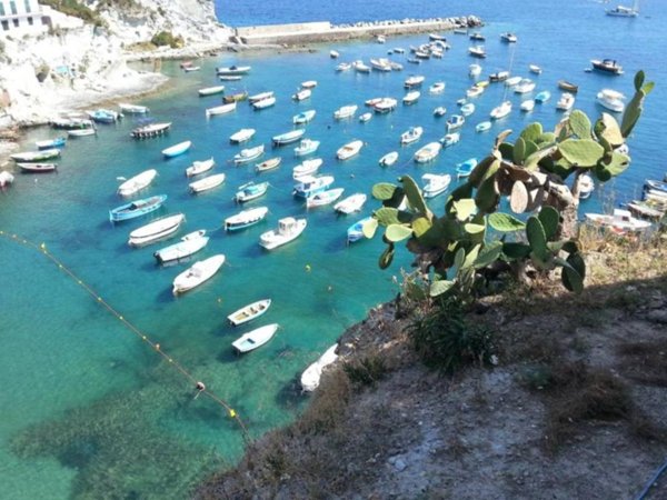 intera palazzina in vendita a Ponza in zona Le Forna