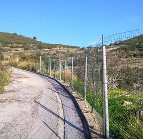 terreno agricolo in vendita a Ponza in zona Le Forna