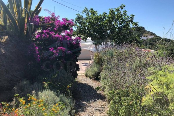 appartamento in vendita a Ponza in zona Le Forna