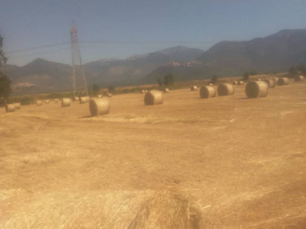 terreno agricolo in vendita a Priverno