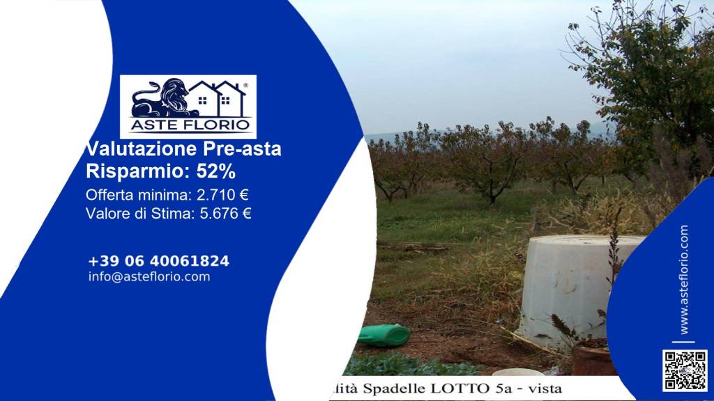 terreno agricolo in vendita a Priverno in zona Montalcide