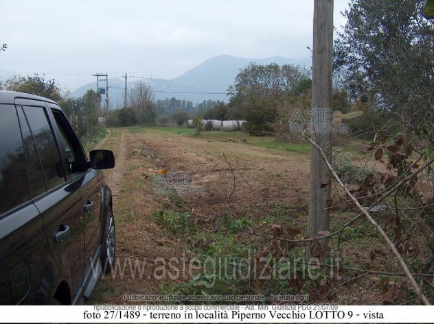 terreno agricolo in vendita a Priverno in zona Mezzagosto