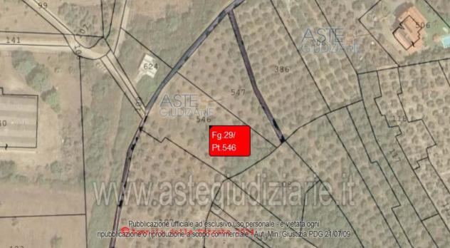 terreno agricolo in vendita a Priverno