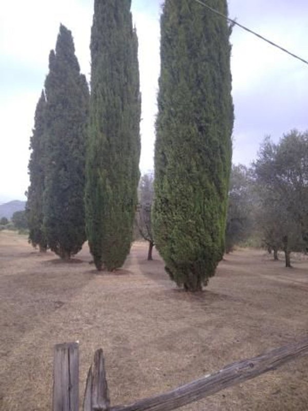 casale in vendita a Priverno in zona Casale