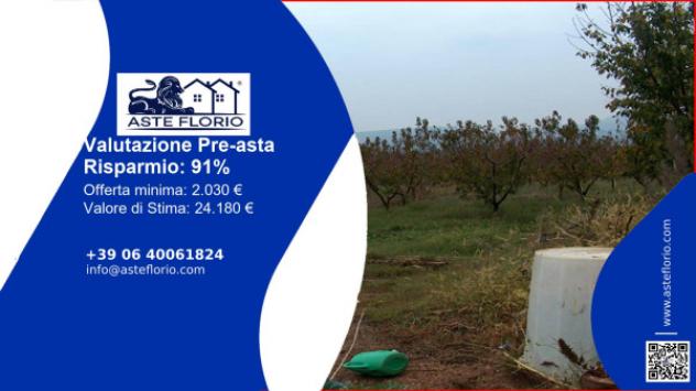 terreno agricolo in vendita a Priverno