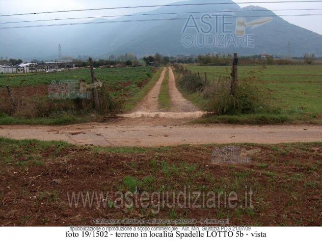 terreno agricolo in vendita a Priverno