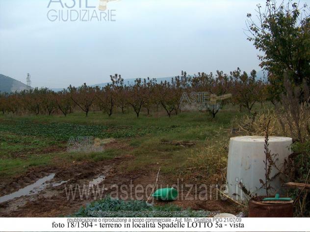 terreno agricolo in vendita a Priverno