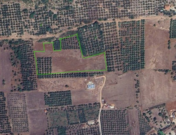 terreno agricolo in vendita a Priverno in zona Ceriara