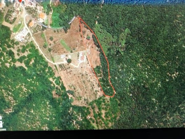terreno agricolo in vendita a Priverno in zona Casale