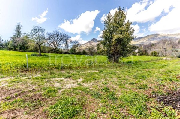 terreno agricolo in vendita a Roccagorga
