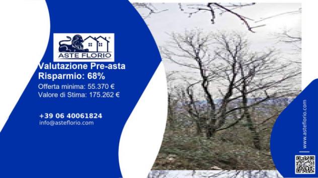 terreno agricolo in vendita a Rocca Massima