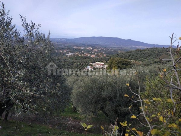 terreno agricolo in vendita a Rocca Massima