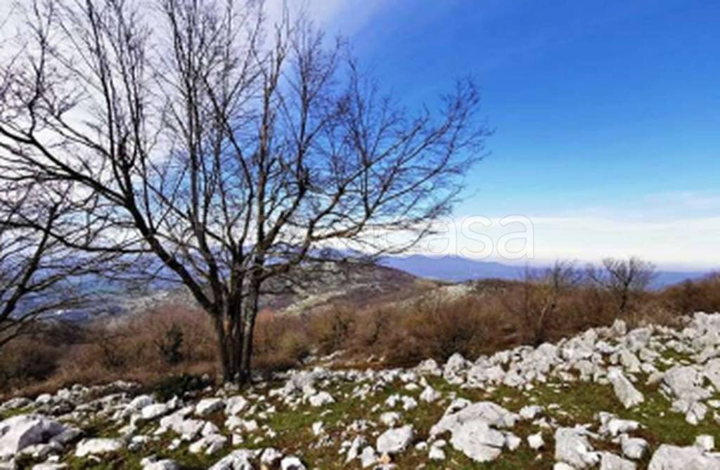 terreno agricolo in vendita a Rocca Massima