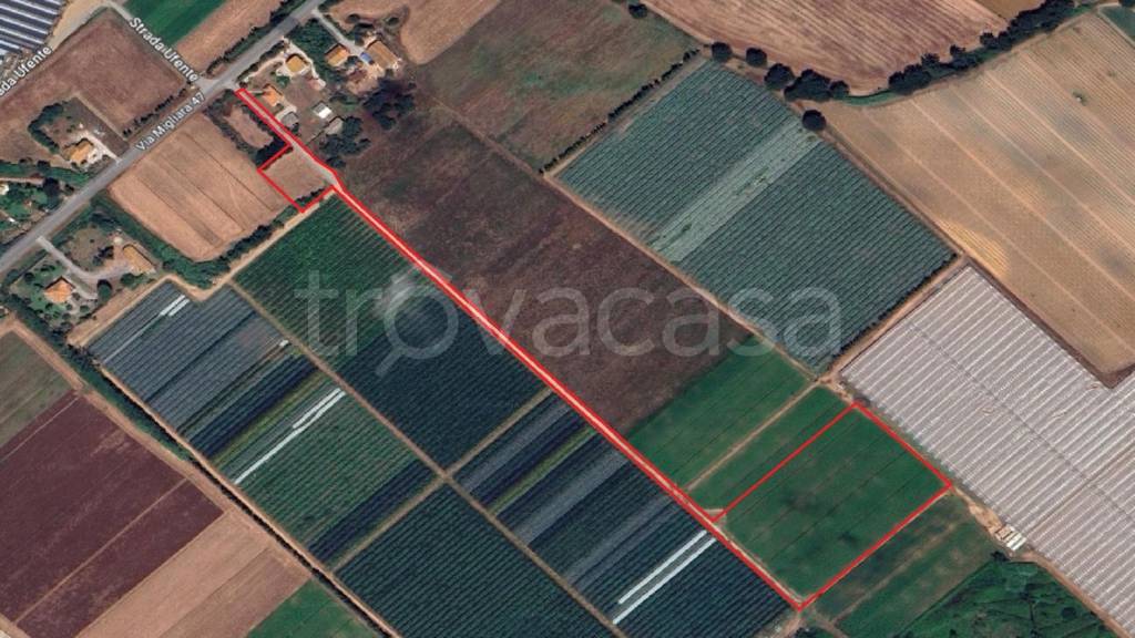 terreno agricolo in vendita a Sabaudia