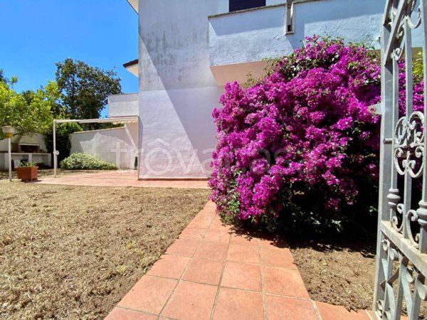 appartamento in vendita a Sabaudia in zona Bella Farnia