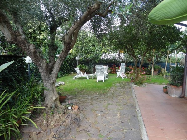esavano in vendita a Sabaudia