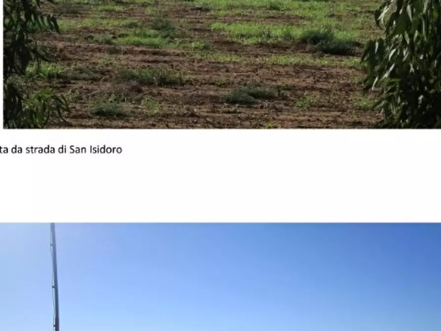 terreno agricolo in vendita a Sabaudia