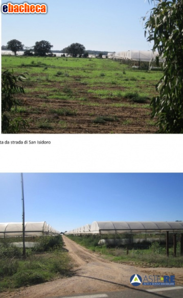 terreno agricolo in vendita a Sabaudia in zona Sant'Isidoro